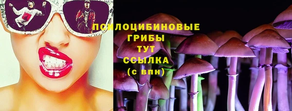 мяу мяу мука Медногорск