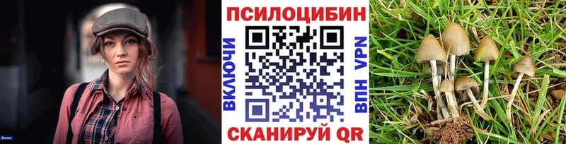 Галлюциногенные грибы Psilocybe  продажа наркотиков  Никольское 